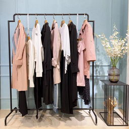 CCDD女装加盟店 韩版羊毛大衣品牌与服装服饰批发指南